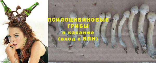 таблы Горнозаводск