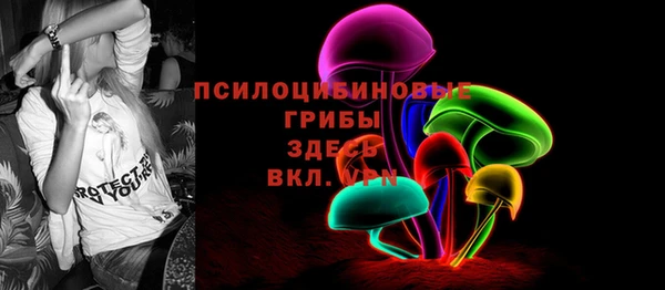 дурь Горно-Алтайск