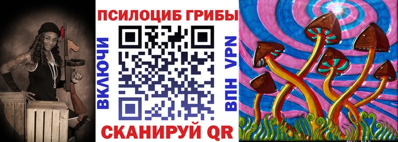 как найти наркотики  Дрезна  Галлюциногенные грибы мицелий 